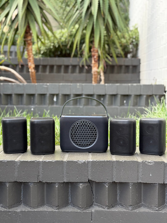 Why Rocksteady Stands Out in the World of Speakers